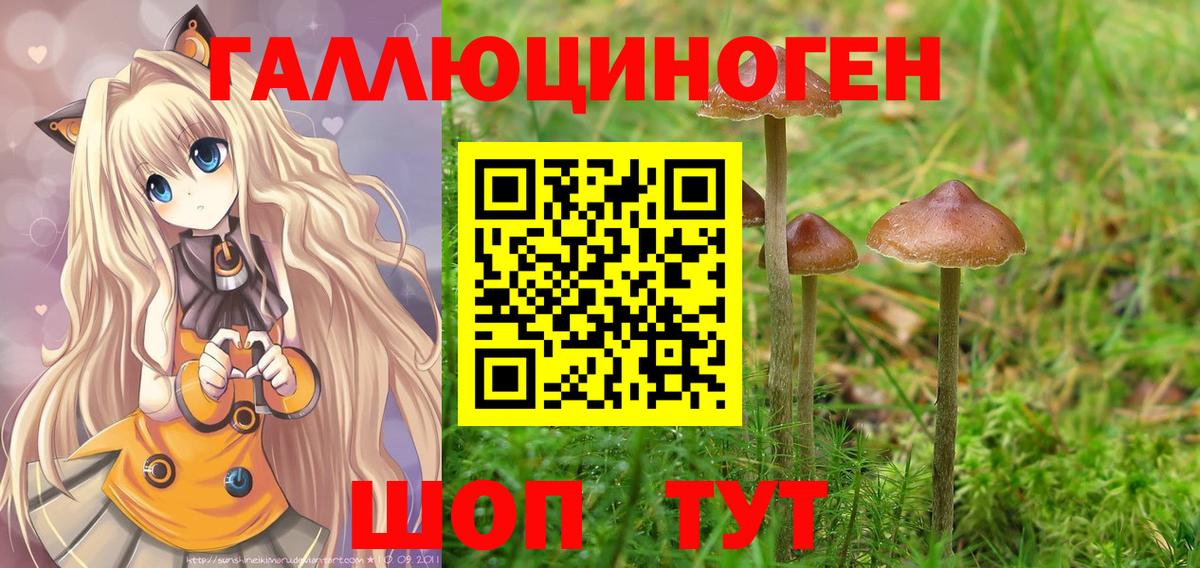 ГЕРОИН Шатура